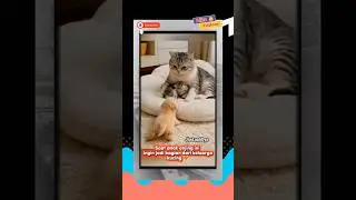 When love and warmth know no difference 😻