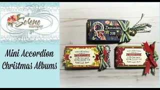 Mini Accordion Christmas Album | Quick & Easy Gift!