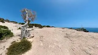 Finding Peace and Tranquility on a Coastal Walk - Salinas - Ibiza, Spain - June 2022