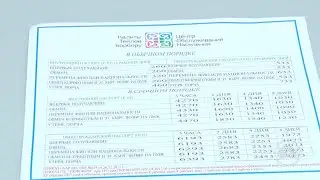 3 саатта кантип паспорт алса болот? Санарип алиппе