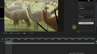 How to use Content Aware Tool AFTER EFFECTS