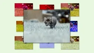 Quick, Bulk LUT preview generator - Simplify your editing experience | Full Guide [Bulk LUT Preview]