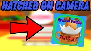 🔥 I HATCHED BRONZE TROPHY ON CAMERA | ROBLOX BUBBLEGUM LEGENDS
