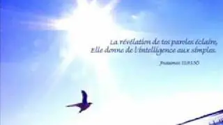 QUELQU'UN PARLE DE PAIX
