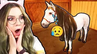 Założyłam SCHRONISKO dla ZANIEDBANYCH KONI! 😢🐎 - Symulator Schroniska Dla Zwierząt #03