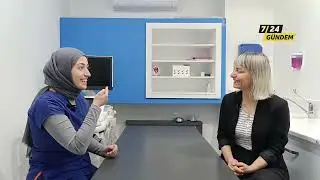 Kedi ve köpeklerde ağız-diş sağlığı