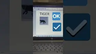 How to make Tiger shortcut | Ms word tricks | ms word
