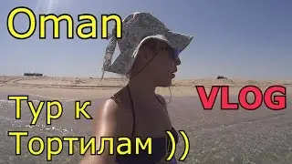 Тур к морскимм черепахам | VLOG | Оман часть 2 | HD