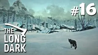 The Long Dark #16 - Так много негодяев, так мало патронов