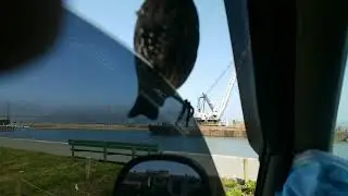 Dillion the starling.. snack time in sf july 19 2022