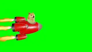 Green Screen Dogecoin video effects