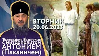 Толкование Евангелия с митрополитом Антонием (Паканичем).  Петров пост. Вторник, 20 июня 2023 года.