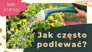 #3 Jak często i jak długo podlewać ogród? (Bez wysiłku) 💦 Przygotuj rośliny na suszę