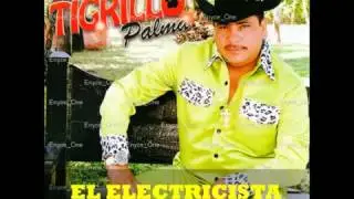 El tigrillo palma-El Electricista