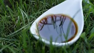 Соус Якитория || Тайский Пикник на FOOD TV