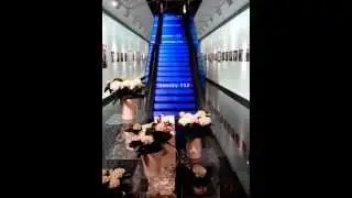 VID_20130330_192656