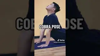 LAKUKAN INI SETIAP HARI!!
