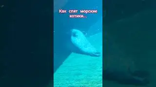 Польша. Аквариум во Вроцлаве!