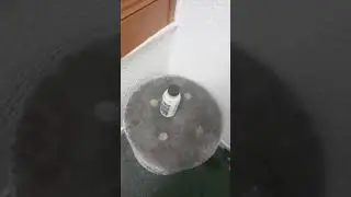 bottle flip extended