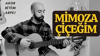 VOLKAN KONAK - MİMOZA ÇİÇEĞİM Gitar Dersi - Akor, Ritim, Arpej, Baresiz Akorlu Kolay Gitar Dersi