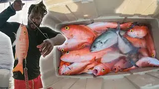 Sometimes We Catch A lot Of Fish Sometimes We Don't It's Just The Way It Is On These Fishing Trips