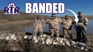 Skinny Water Farm Pond Hunt With Band - 2023 Kansas Waterfowl
