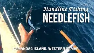 EP11 Handline Fishing | Needlefish | Camandag Island 