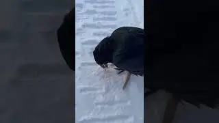 Подкатил 😅 