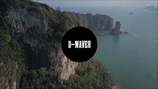 SUMMER MIX 2020 | D-WAVER