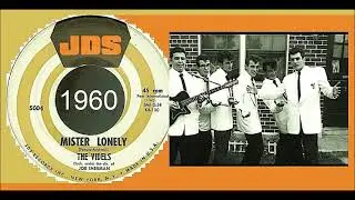 The Videls - Mister Lonely