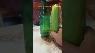 5 июля 2024 г.
