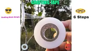Eleboat™ Hasthip Self-Adhesive Fruit Tree Grafting Tape Plants Tools, 100 m (White)