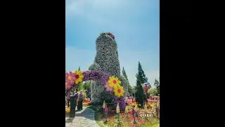 2023 Goyang International Flower Festival