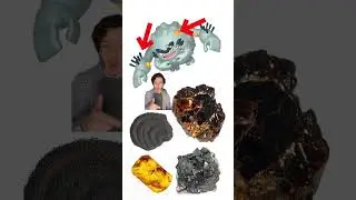 Imagine picking up a rock and it has arms 🪨 #geology #pokemon #gaming #youtubeshorts #education