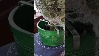 So bleibt Dein Weihnachtsbaum lange frisch und nadelt nicht. 