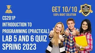 CS201P Introduction to Programming (Practical) Lab 5 and 6 Quiz Solution Spring 2023 