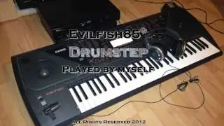 Evilfish85 - Drumstep (Casio CTK-711EX)