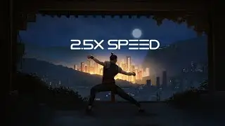 Sifu 2.5x