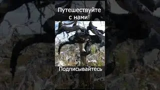 Загадочная Воттоваара  