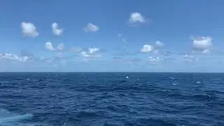 Будет шторм или нет, романтика и хорошая морская практика, кадетская програма, видео Щербинин Даниил