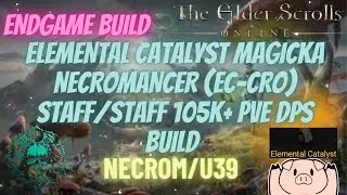 Static Rotation Elemental Catalyst Necromancer 103k+ PVE DPS Build updated U39 Necrom