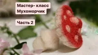 24 февраля 2024 г.