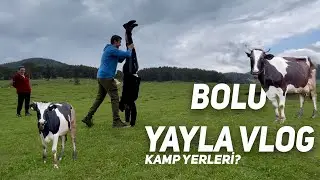 BOLU YAYLALARI  #vlog #yayla #kaos
