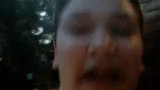 Играем в шаурмечника