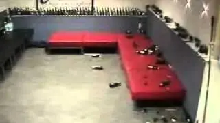 Bier-domino