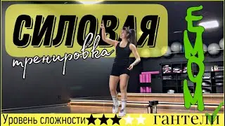 Силовая тренировка с гантелями с разминкой и растяжкой | sindirina1