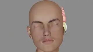 Single Phase Autolog Microtia - Tek Aşamalı Otolog Mikrotia