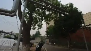 Delivering Food to a Hidden Garden by the River — with Cats! 🌿🍱🐾