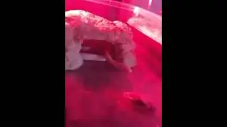 Vova feeding 4