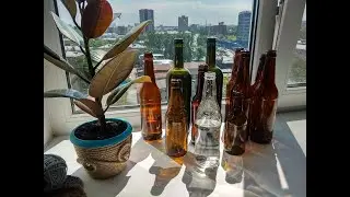 🍷 Как убрать этикетку с бутылки 🍷